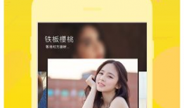 91直播正规吗,揭秘其正规性及行业地位