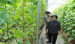 娱乐圈吃瓜小达人是什么,吃瓜小达人的八卦江湖